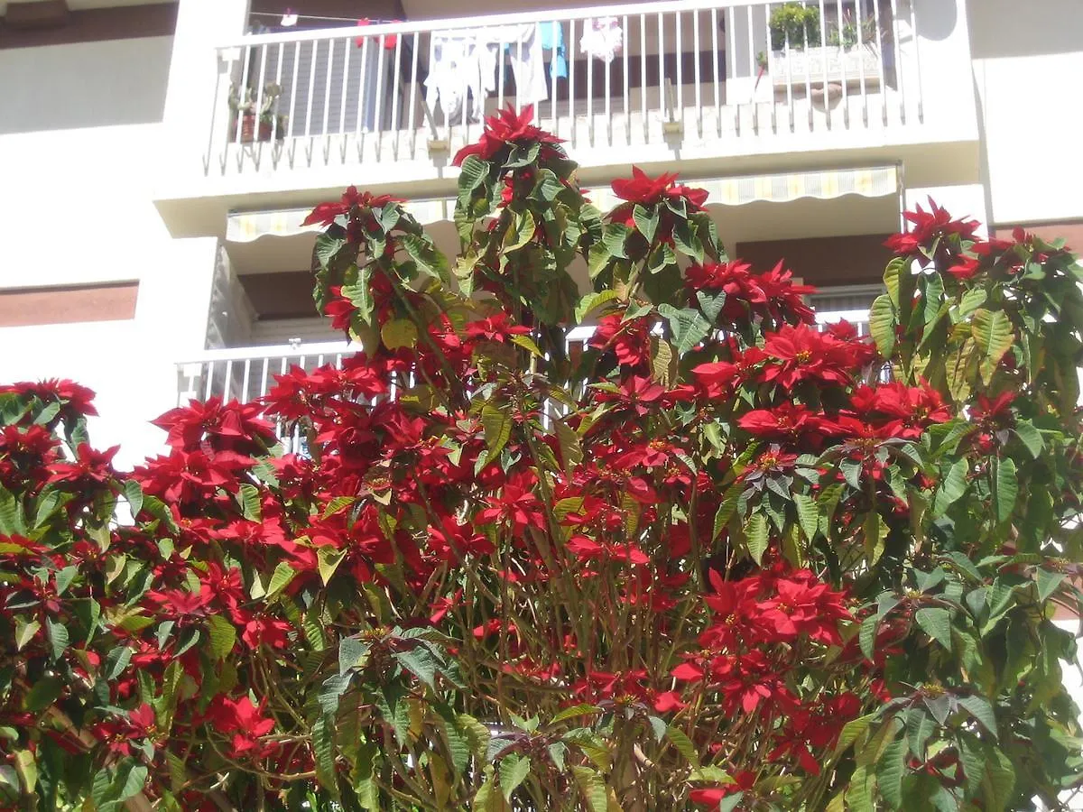 Carabeo 2000 3.1 Apartment Nerja Spain