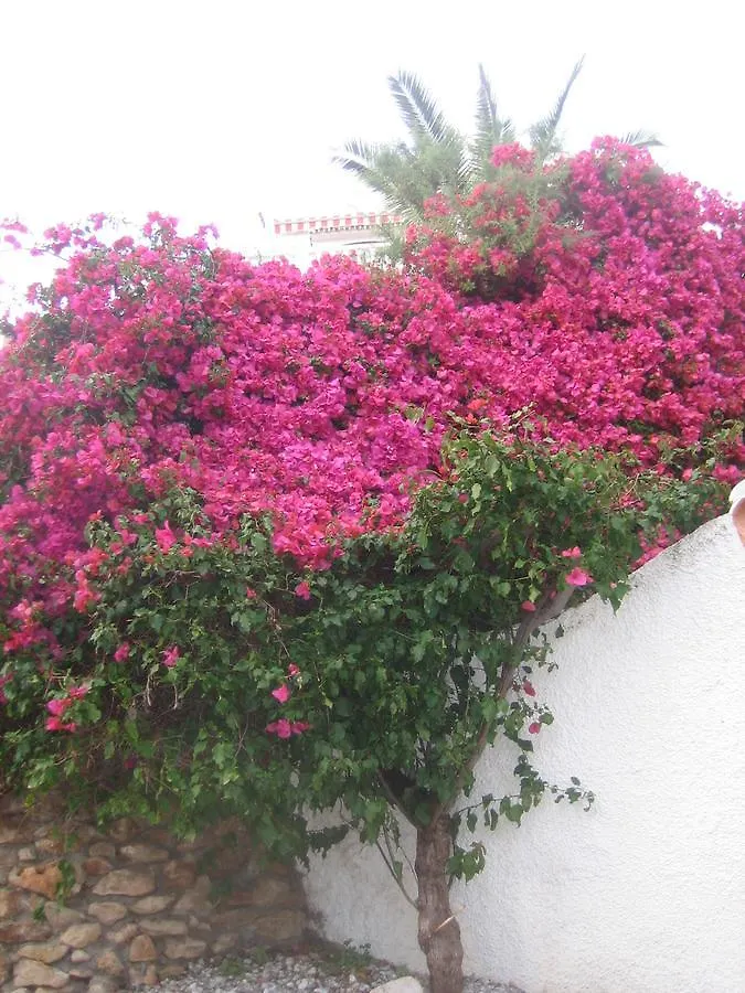 Carabeo 2000 3.1 Apartment Nerja