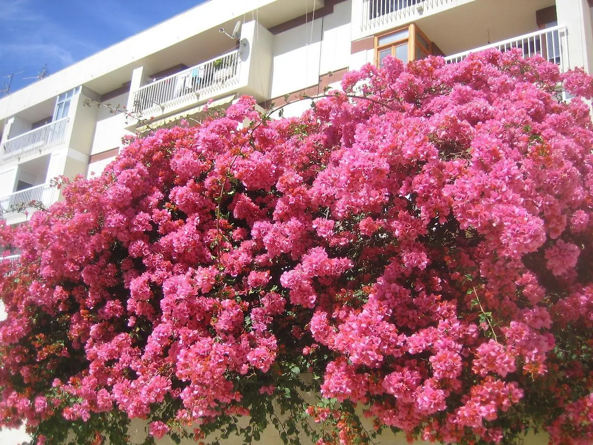 Carabeo 2000 3.1 Apartment Nerja